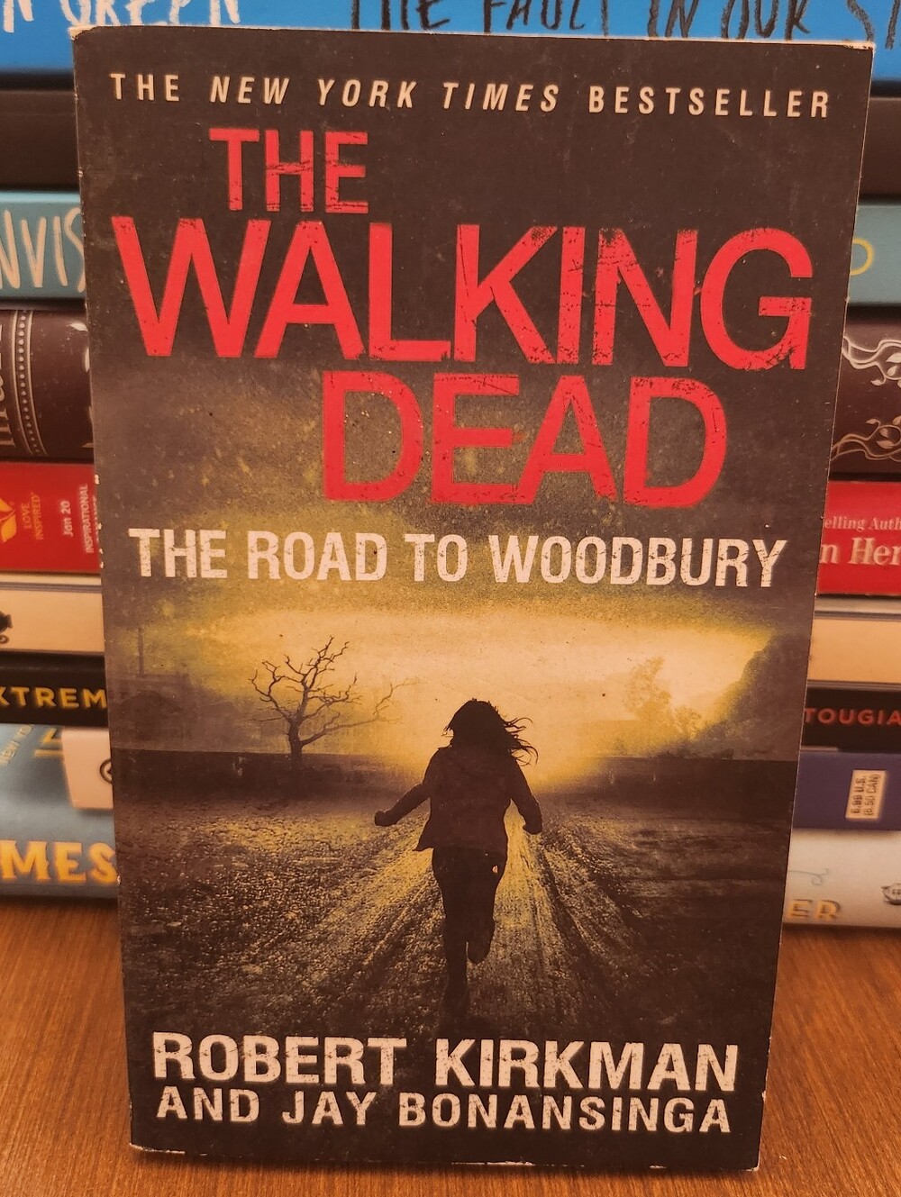 The Walking Dead Book